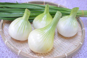 新たまねぎ